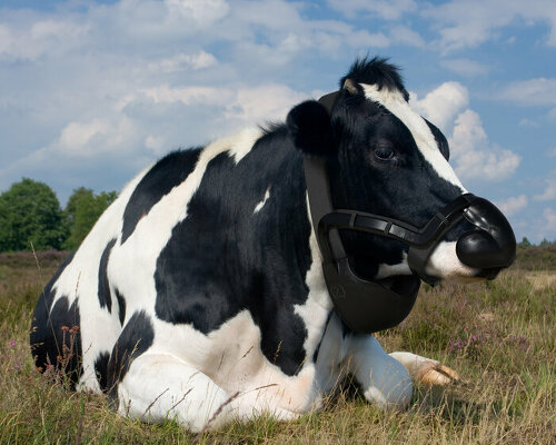 methane reducing wearable for cows among UK climate design award winners