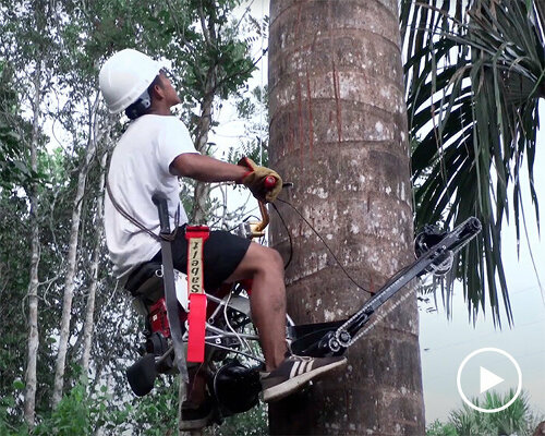 this vertical bike powered by honda climbs trees to prevent deforestation