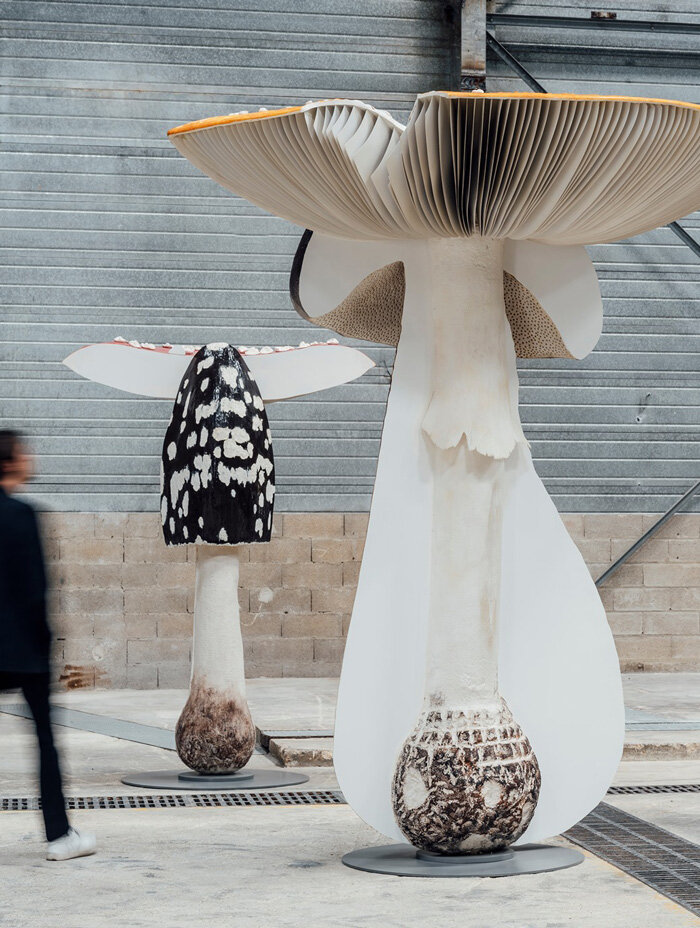 MUSHROOMS | designboom