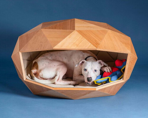 foster + partners designs paw-inspiring dog kennel with geodesic timber shell