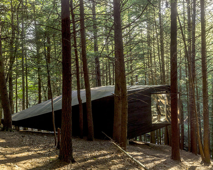 jacobschang architecture's 'half-tree house' seems to float among the woods