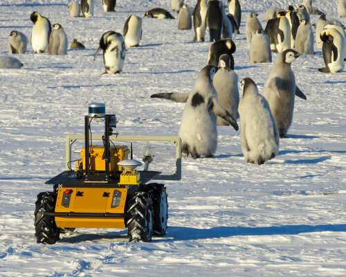 meet ECHO, the yellow robot that's monitoring emperor penguins in antarctica