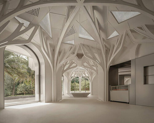 tree-shaped columns dominate café-bar on gulangyu island, china