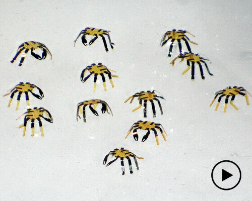 micro-sized robot crabs bend, twist, crawl and jump to perform tasks in small spaces