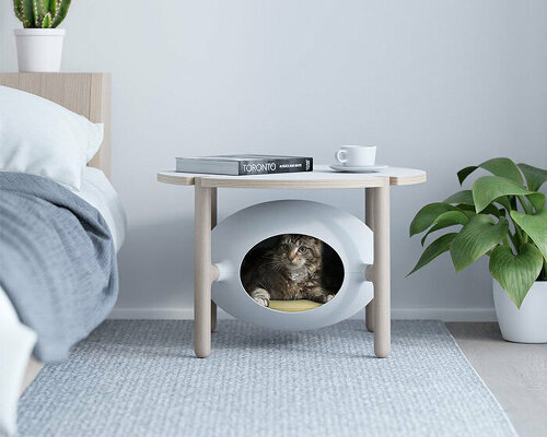 joão teixeira’s 'igloo' is a cozy pet bed disguised as a modern coffee table