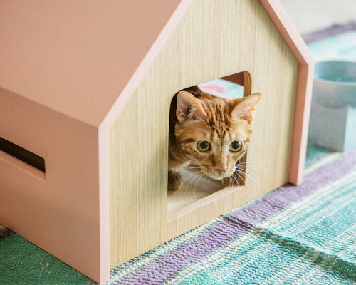 wooden, cushioned mini houses and beds for cats help them relax and sleep well