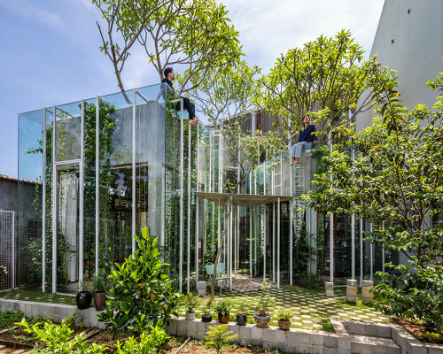 nguyen khai architects' labri house is a cluster of glass boxes overgrown with nature