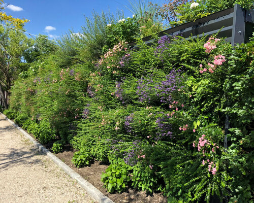 flowers and plants used as barricades to block traffic noise and pollution