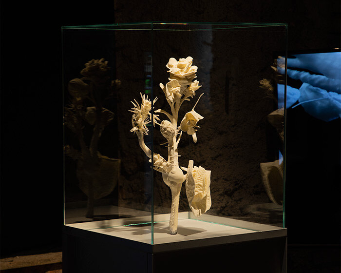 marcin rusak uses flowers to crystallize deterioration at slovenian design biennale BIO27