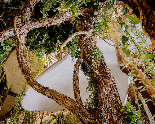 azuma makoto's monumental botanical sculpture 'MEXX' draws from lush mexican jungle