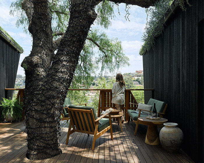 passive timber house by alex symes wraps around 60-year-old tree in australia