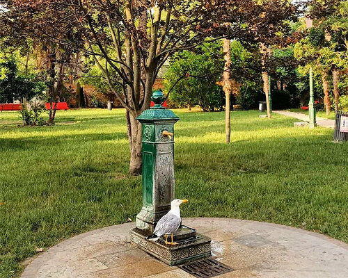 venice unveils map of drinking fountains in an effort to reduce plastic bottle use