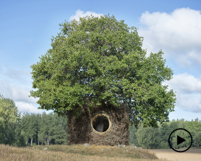 UMA + antti laitinen convert tree into primitive concert space in sweden