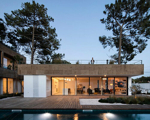 sustainable cork clad house camouflages into surrounding portuguese pine tree woodlands