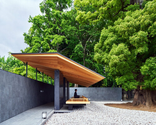 hiroshi nakamura’s ueno toshogu shrine juyosho in japan revives felled ginkgo tree as roof