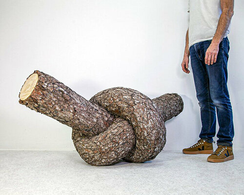 monsieur plant contorts fantastical tree trunk sculptures to explore the powers of nature