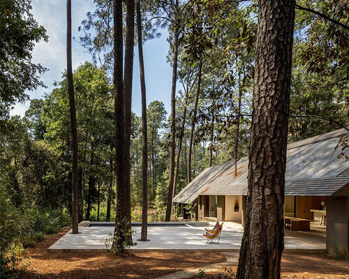 PPAA nestles idyllic retreat into pine tree woodlands of valle de bravo, mexico