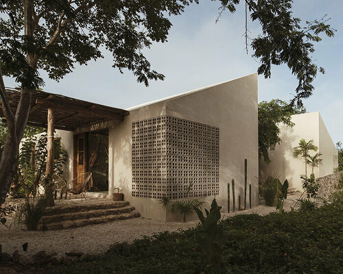 this 'galopina' guest house by TACO celebrates the wild nature of yucatán