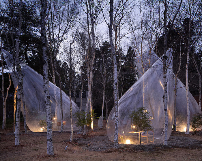 yuko nagayama's transparent teardrop-shaped tents dot a tranquil forest in japan