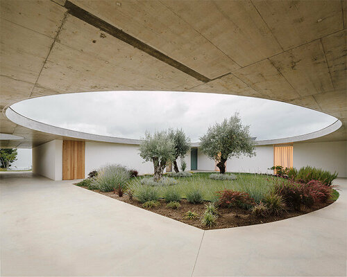 verdant circular patios contrast with orthogonal forms in bruno dias' casa âmago in portugal