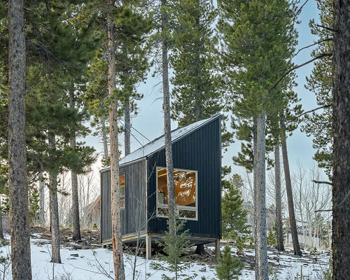 michael quirk reuses local wood to complete tiny carbon-negative cabin in colorado's forest