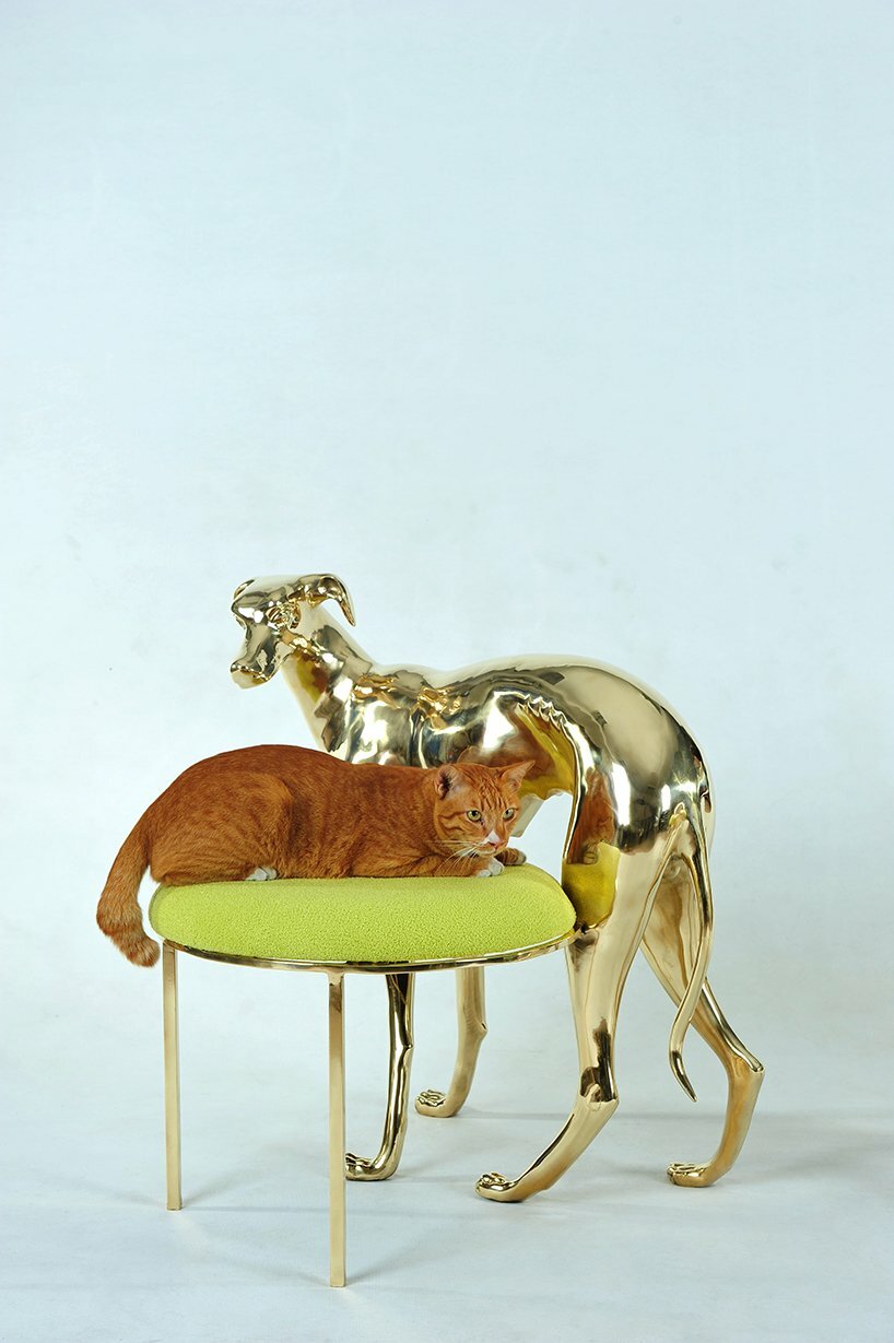 brass dogs, cats & frogs form apiwat chitapanya's quirky furniture