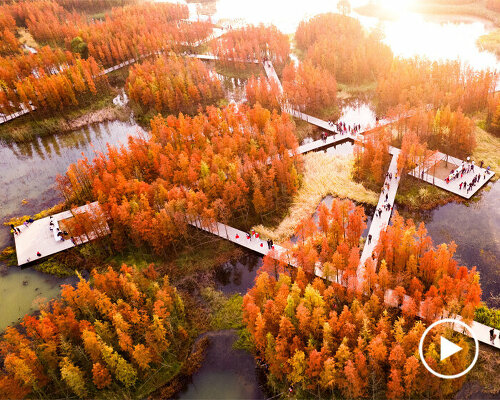 turenscape transforms dumping ground into flood-adapted, floating park in china