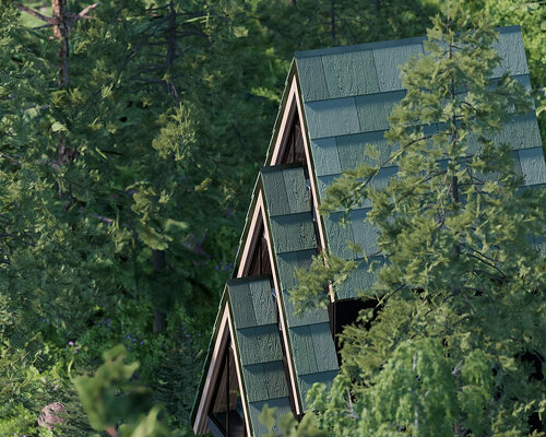 studio beltrame tucks pine-shaped treehouse high amid the forestscape of the italian alps