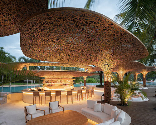 bamboo tree canopies cluster over resort beach club amid china's coconut groves