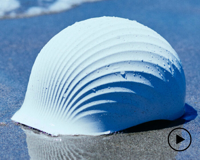 sturdy helmet 'SHELLMET' recycles discarded scallop shells from landfills