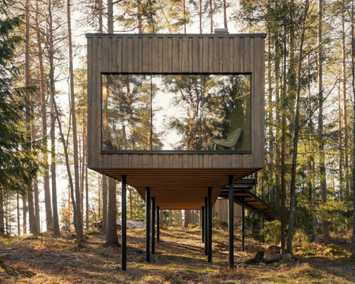 suspended amid treetops, these timber cabins immerse guests in the swedish pinewoods