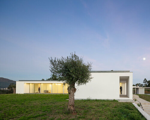 a minimal white box defines lopes pertile architects' 'casa primus'