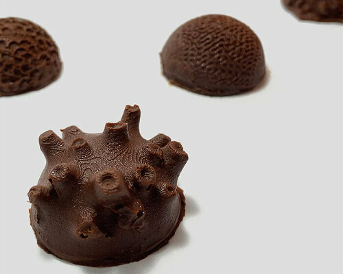 melissa pérez puga's chocolate series embodies the textures and shapes of coral reefs