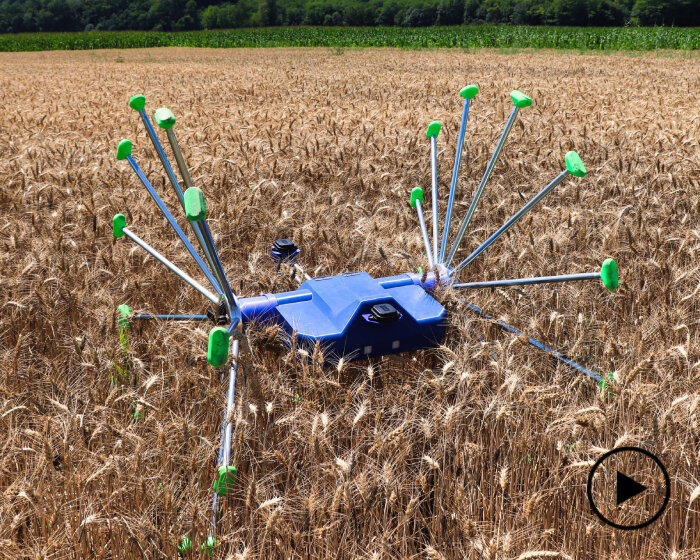 robot crop inspector 'SentiV' wheels itself into the fields to detect harvest threats