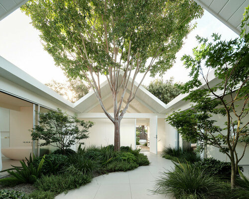 gardens permeate the minimalist interiors of ryan leidner's three gable house