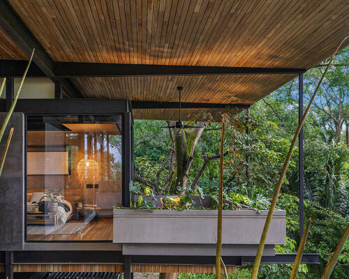 sunlit 'raintree house' by studio saxe is a contemporary oasis in costa rica