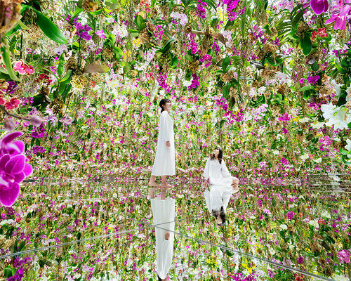 teamLab expands its digital museum in tokyo with an immersive garden of floating orchids