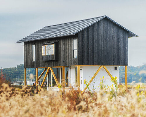 ushijima architects designs japanese house to 'float like a boat as its surroundings change'