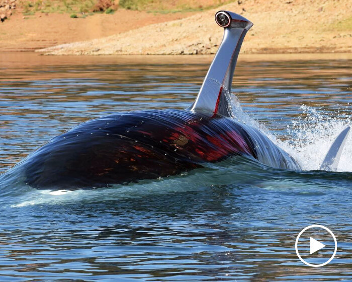 submersible 'jet shark' prototype swiftly sinks, glides, and leaps under and overwater