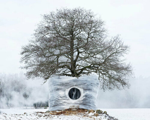 a sauna nestled within an alder tree concludes UMA + antti laitinen's cyclical art series