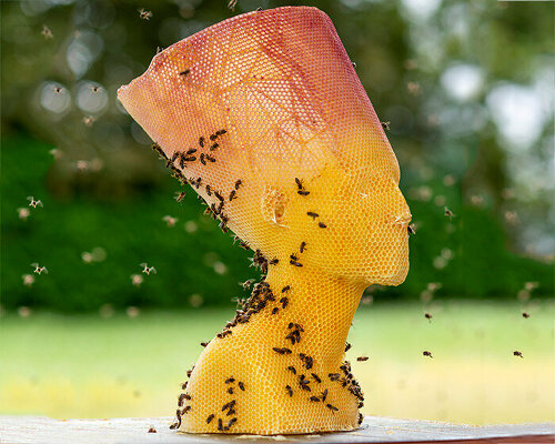 tomáš libertíny's beeswax busts of hera and nefertiti translate vulnerability into strength