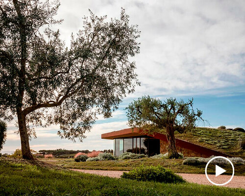 winery's metallic ribbons trace the vineyard hills of magliano in italy