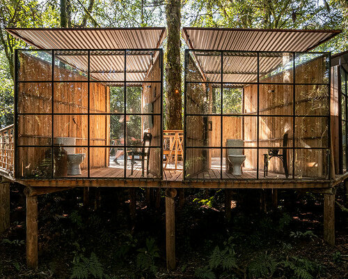 a set of wooden restroom cabins peeks through the treetops of native forest in são francisco