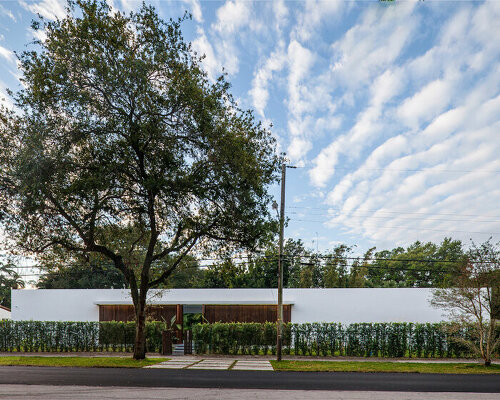 minimalist elongated casa pompei expands on narrow plot in historic miami enclave