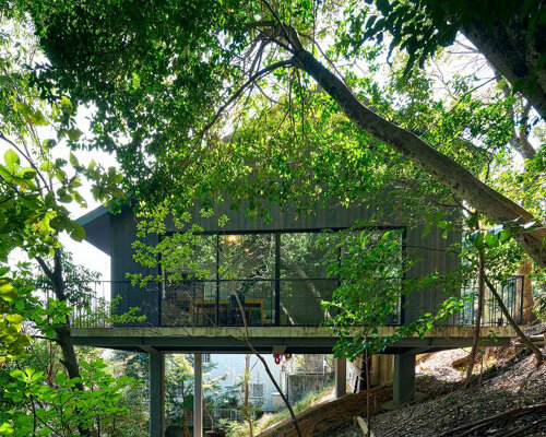 airhouse's wooden home floats above a steep slope in the japanese forest 