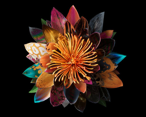 interview: mat collishaw on breeding flowers in the metaverse and his dynamic NFT collection