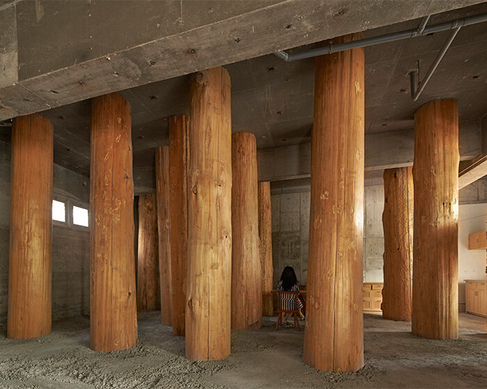 large tree trunks arrow through tomoaki uno's peaceful forest-like office in japan