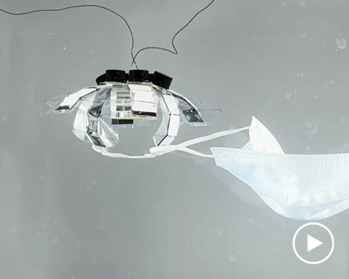 pulsating jellyfish robots can pick up and vacuum ocean trash using artificial muscles