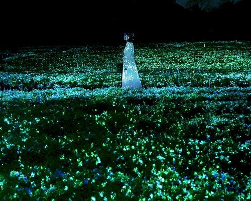 nemophila: teamlab's digital art installation blooms and glows at botanical garden in osaka