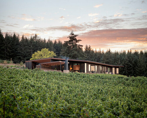 fragmented wooden residence by pbw architects traces the vineyard hills of portland